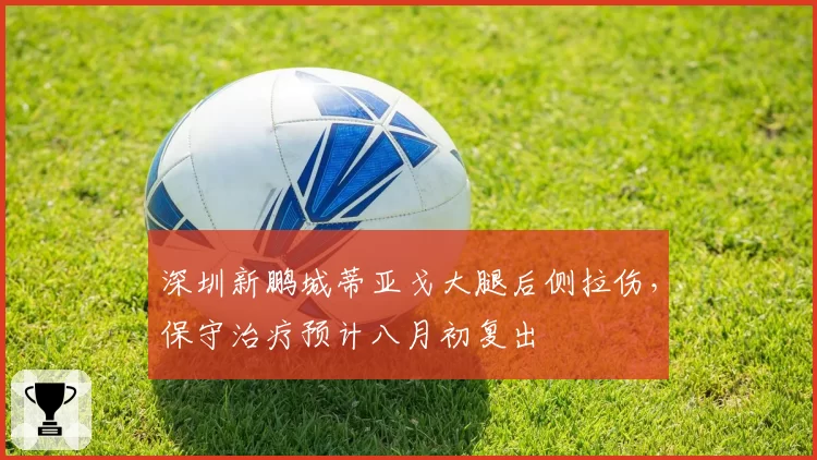 深圳新鹏城蒂亚戈大腿后侧拉伤,保守治疗预计八月初复出