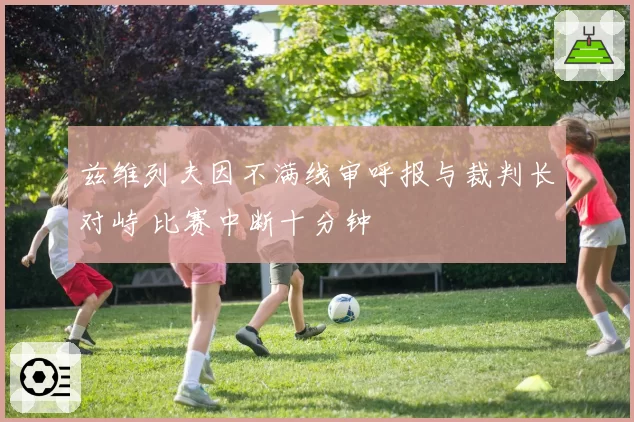 兹维列夫因不满线审呼报与裁判长对峙 比赛中断十分钟