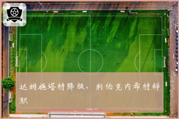 达姆施塔特降级,利伯克内希特辞职