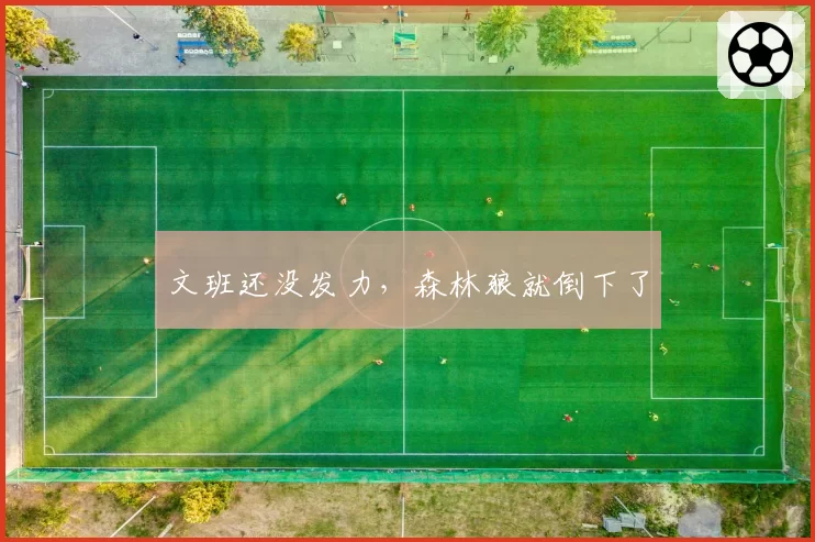 文班还没发力，森林狼就倒下了