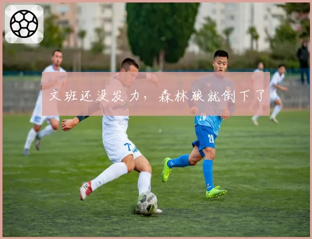 文班还没发力，森林狼就倒下了